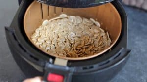como torrar sementes abobora air fryer