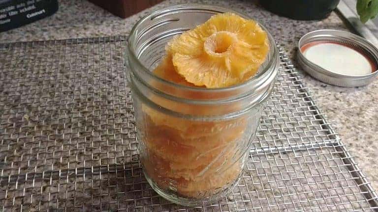 Desidratar Abacaxi na Airfryer: Método Perfeito!