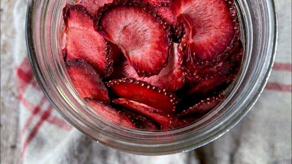 Desidrate morangos e transforme-os em um petisco irresistível, repleto de sabor e durabilidade para acompanhar suas aventuras diárias.