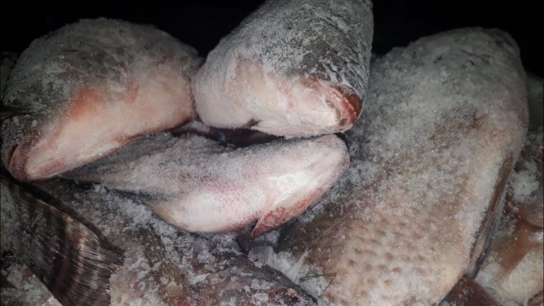 Descongelar Peixe na Airfryer: Ideal e Fácil!