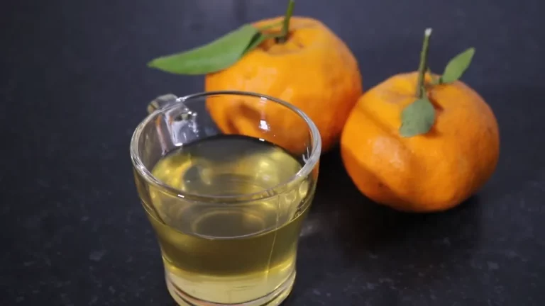 Licor de Tangerina: Para Celebrar a Festa